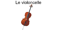 Le violoncelle