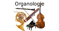 Organologie