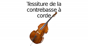 Tessiture de la contrebasse à corde