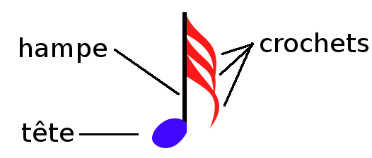 anatomie d'une note de musique