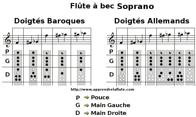 Les différences de doigtés entre le système baroque et le système allemand