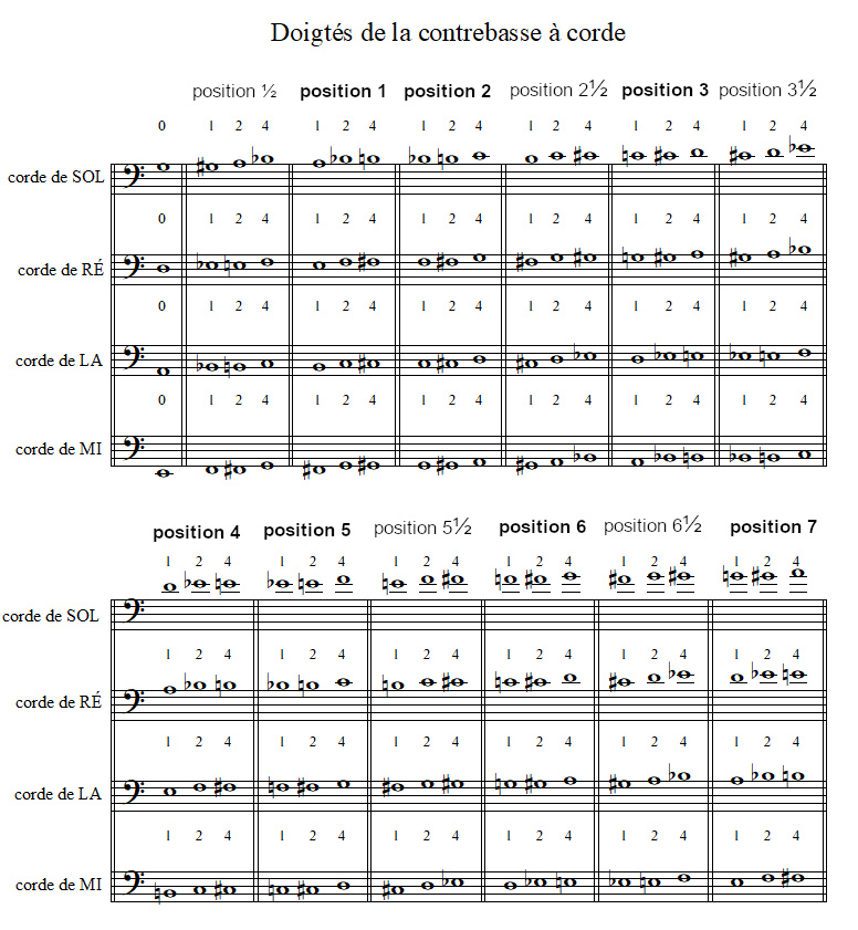les positions des notes sur le manche d'une contrebasse