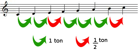 Tons et demi-tons dans la gamme de DO majeur