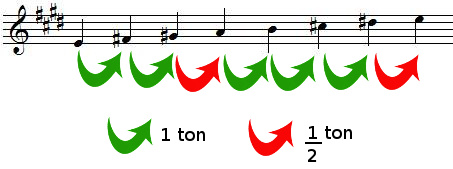 Tons et demi-tons dans la gamme de MI majeur