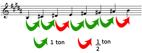 Tons et demi-tons dans la gamme de SI majeur