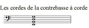 Les noms des notes des cordes de la contrebasse à corde sont (du plus grave au plus aigu)