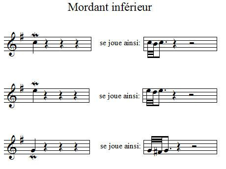 Mordant inférieur Mordant inférieur