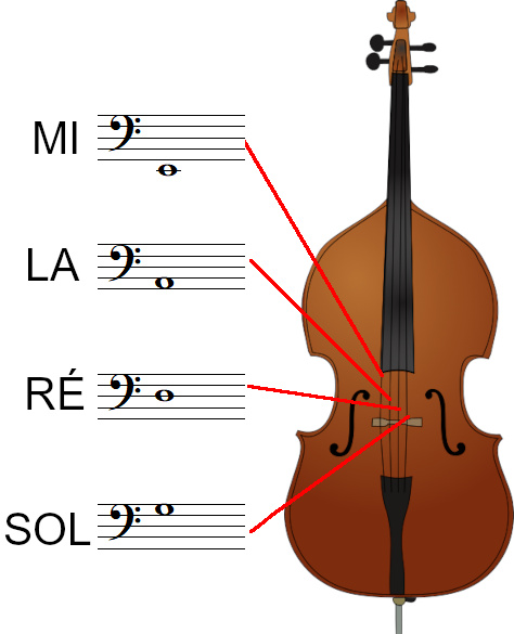 Le nom des notes des cordes de la contrebasse