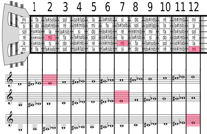 Positions des notes sur le manche