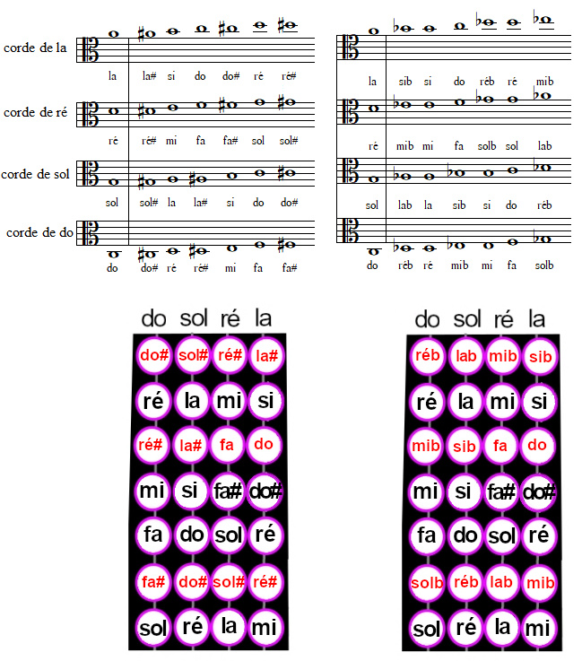 Positions des notes sur un violon alto