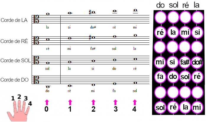 les positions des notes sur le manche d'un violon alto
