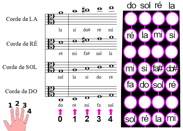positions des notes (doigtés) sur un manche de violon alto