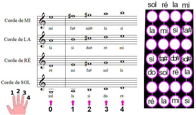 Positions des notes sur un violon