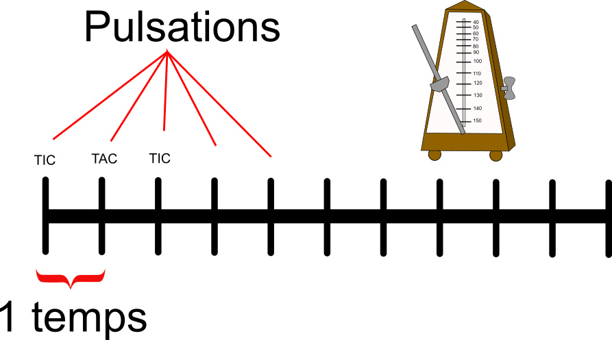 pulsation et temps