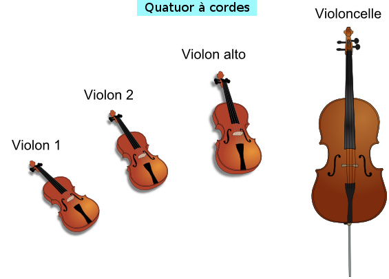 Quatuor à cordes Quatuor à cordes