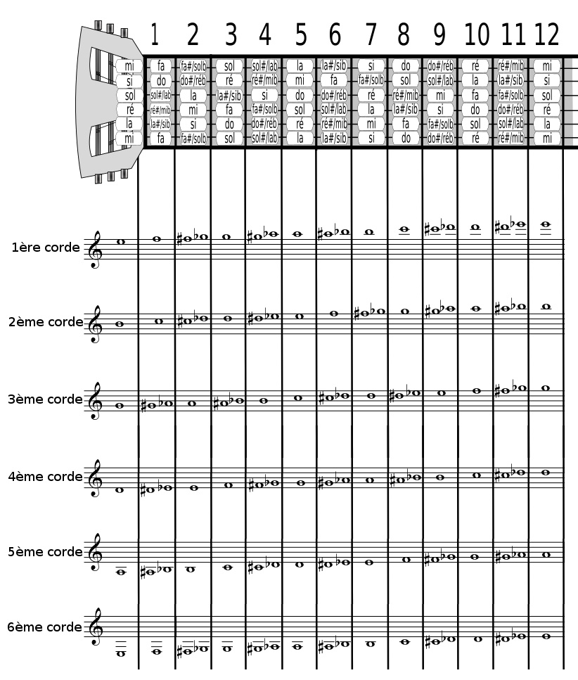 Positions des notes sur le manche