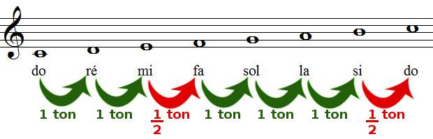 tons et demi-tons dans la gamme de DO majeur