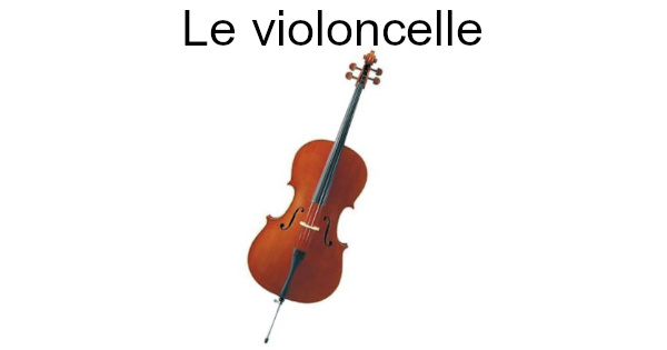Le violoncelle