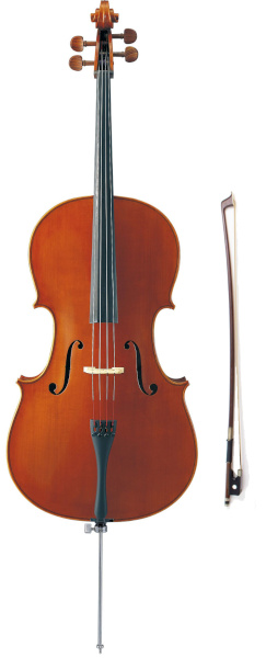 violoncelle et son archet