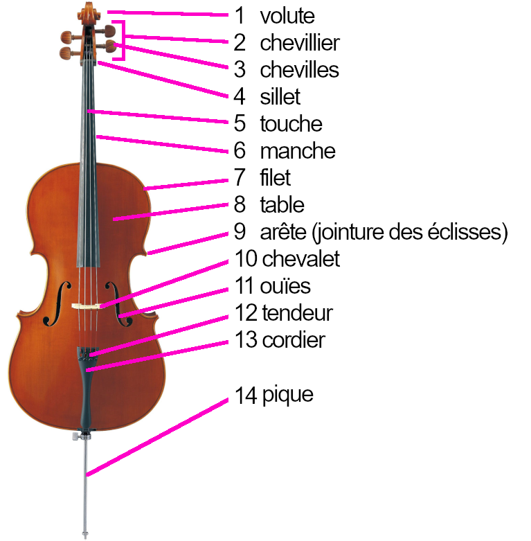 Musicien Avec Violoncelle Assis Près Du Support De Notes De